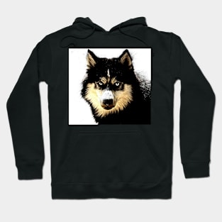 DOG Hoodie